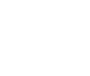 Druckwerk Logo